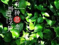 >我成了谁的牵挂，我又在牵挂谁？_原创