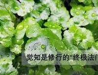 >佛號就是自性，就是實相_原创精选